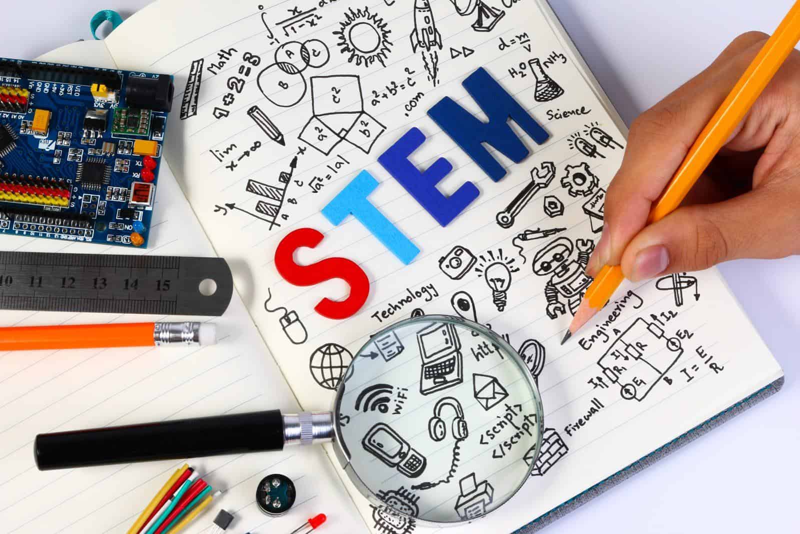 stem definition science